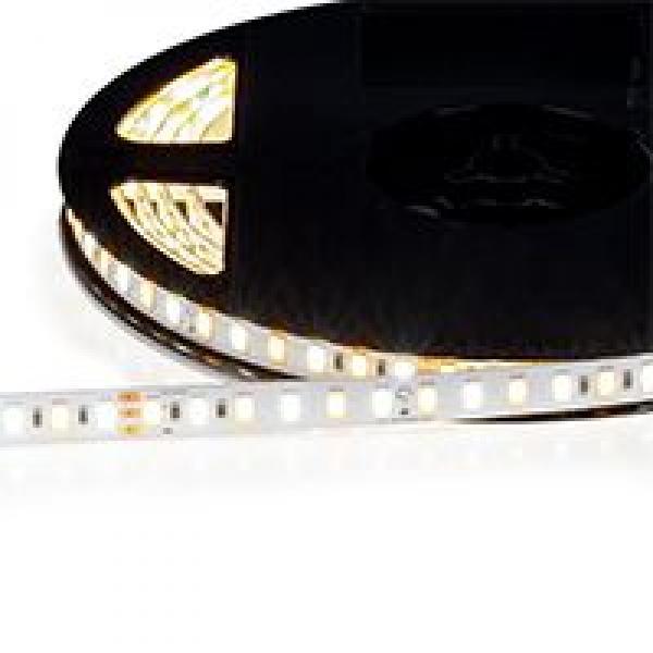 LED Лента Мультибелая ELITE 120 WW+CW