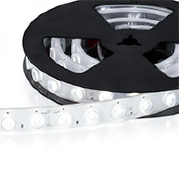 LED Лента Одноцветная EXTRA LENS 42 CW IP67