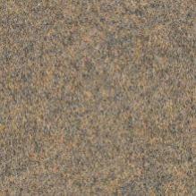 Ковролин Forbo Forte Color 96004