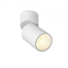 Накладной светильник  SPY N W