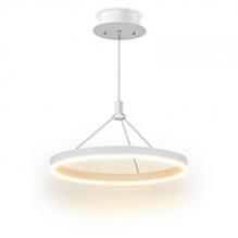 Подвесной светильник RING 24