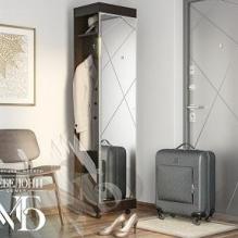 Модульная Прихожая Сити (Венге)