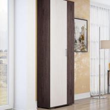 Модульная Прихожая Шкаф Бриз БРЗ.02 ЦРК.СОФ