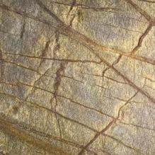 Каменный шпон Темный лес