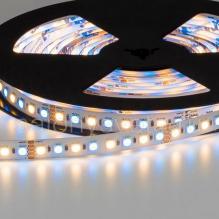 LED Лента многоцветная MULTICOLOR 96 WW