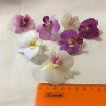 Орхидея М №1 круглая 4см пр. Тайланд