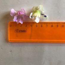 Онцидиум 3см (12шт/уп) пр. Тайланд